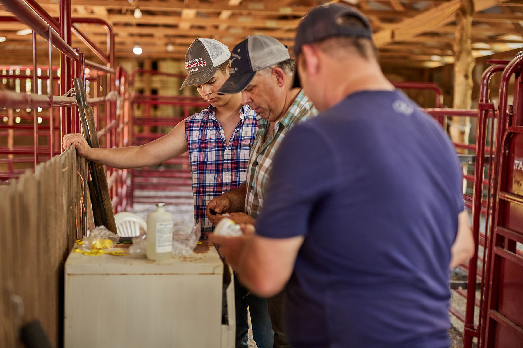 Three people gather supplies at a work surface beside livestock equipment in a barn.