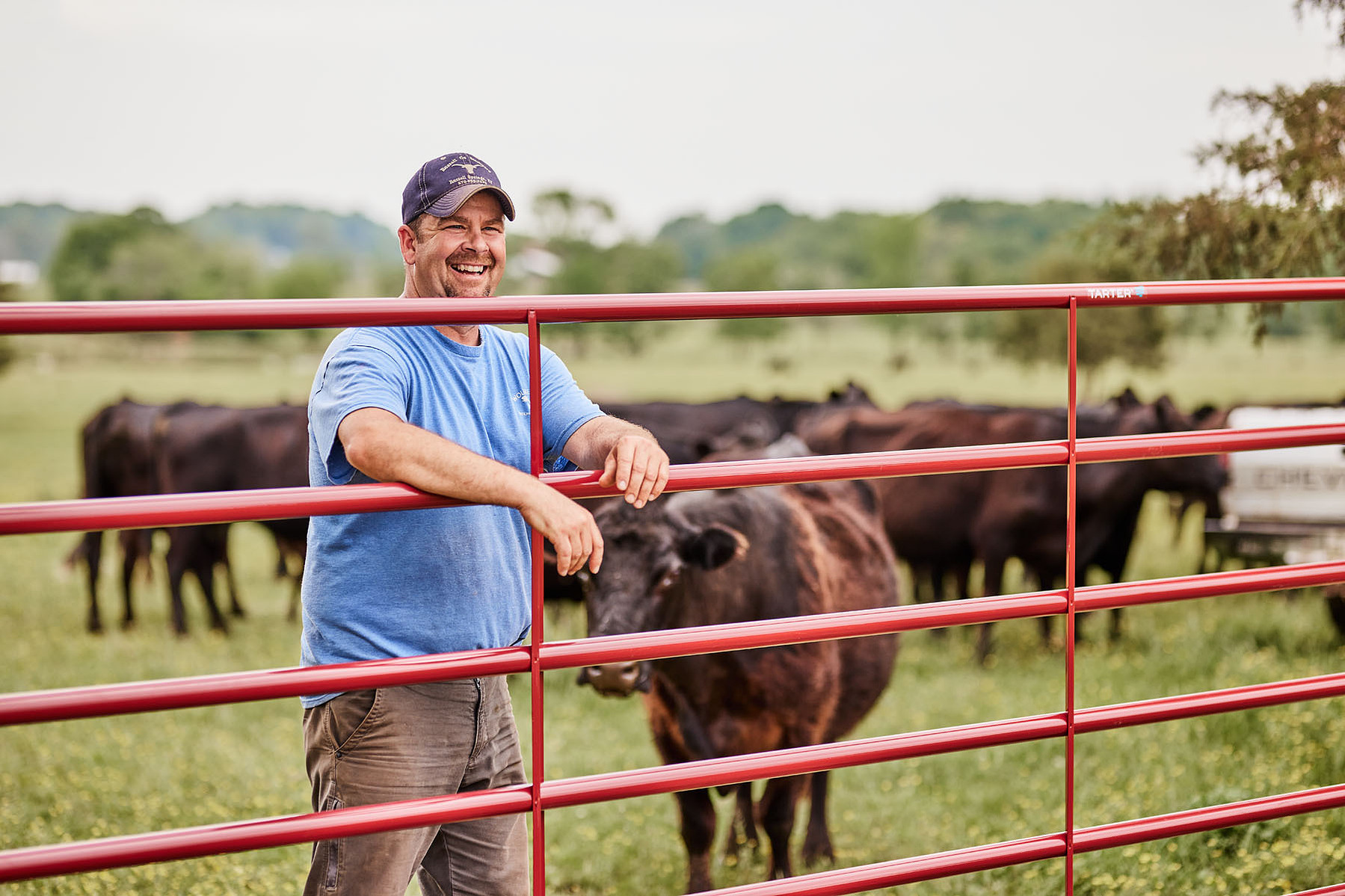 A smiling farmer leans against a red metal gate with cattle behind him.