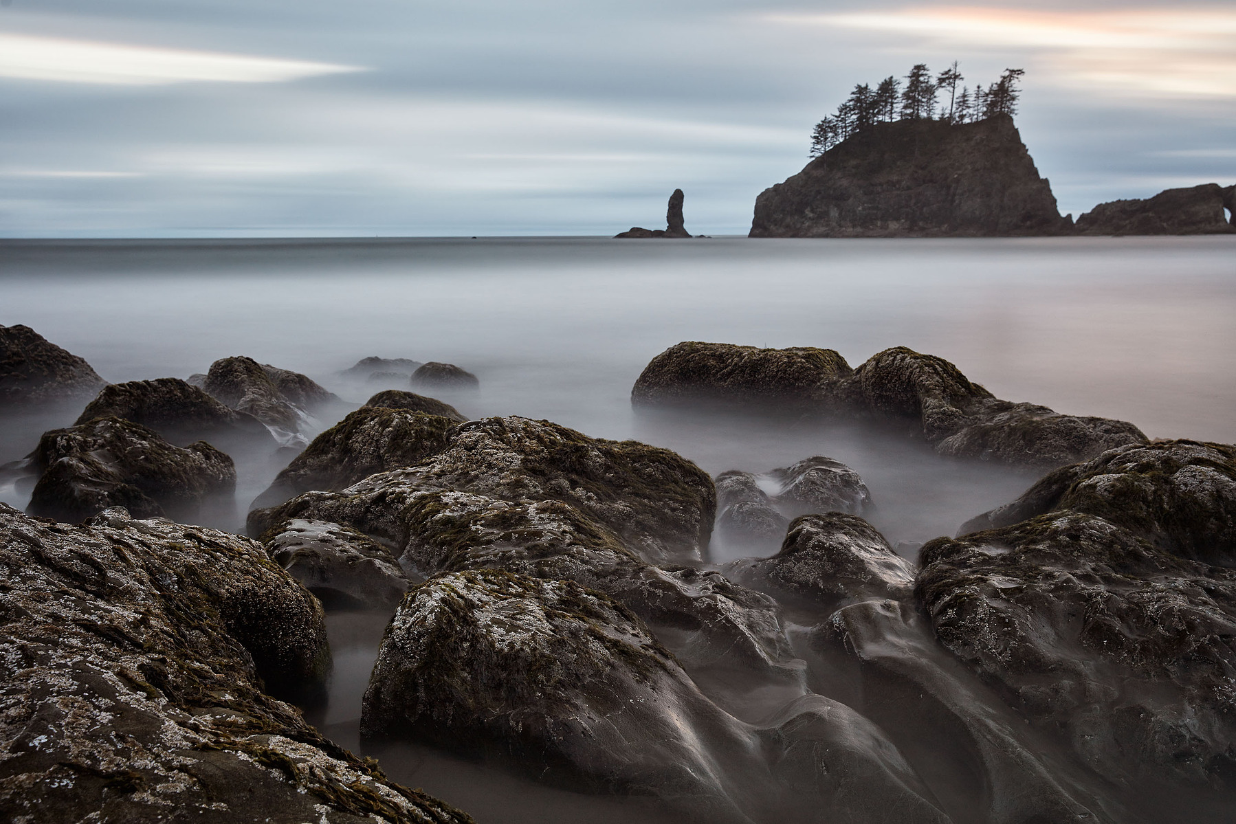 Long-exposure coastal scene with dark foreground rocks, smooth water, and a tree-topped sea stack.