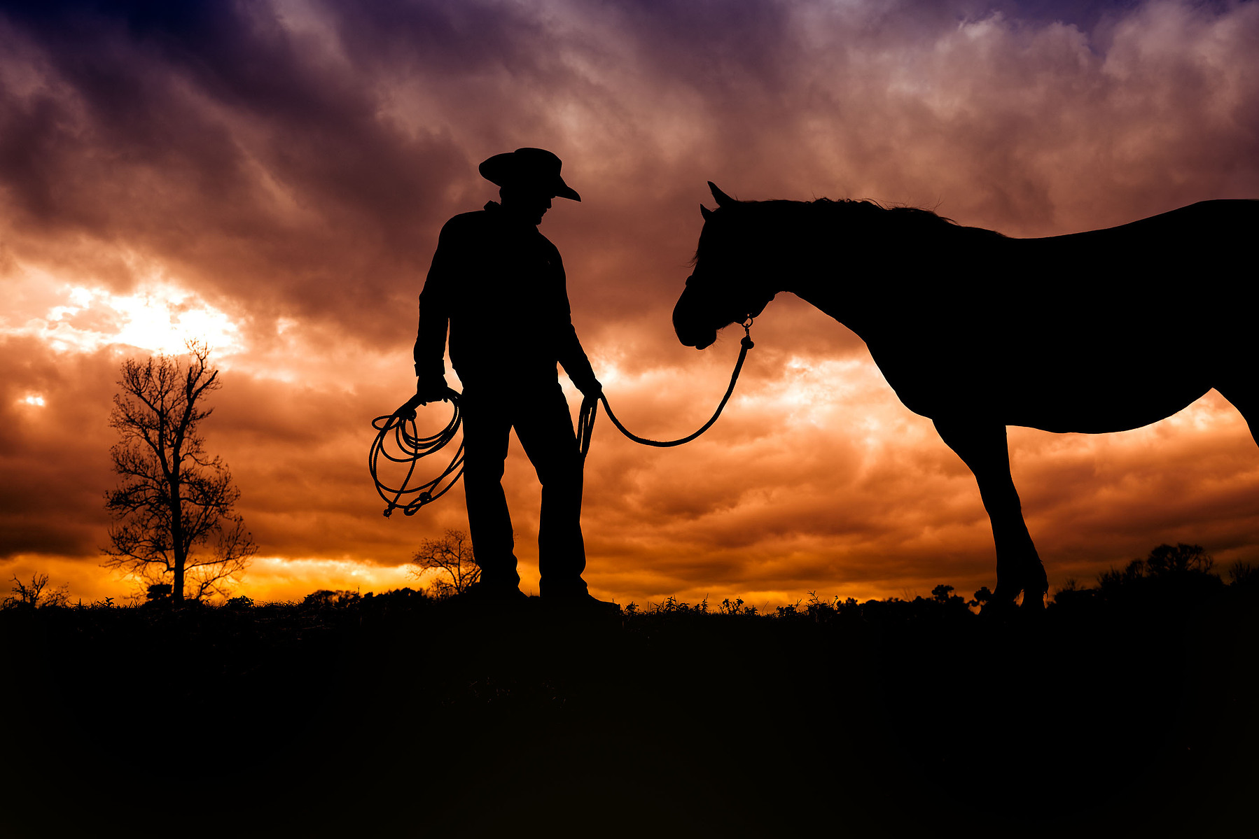 A person holding a coiled rope stands beside a horse in silhouette beneath an orange sky.