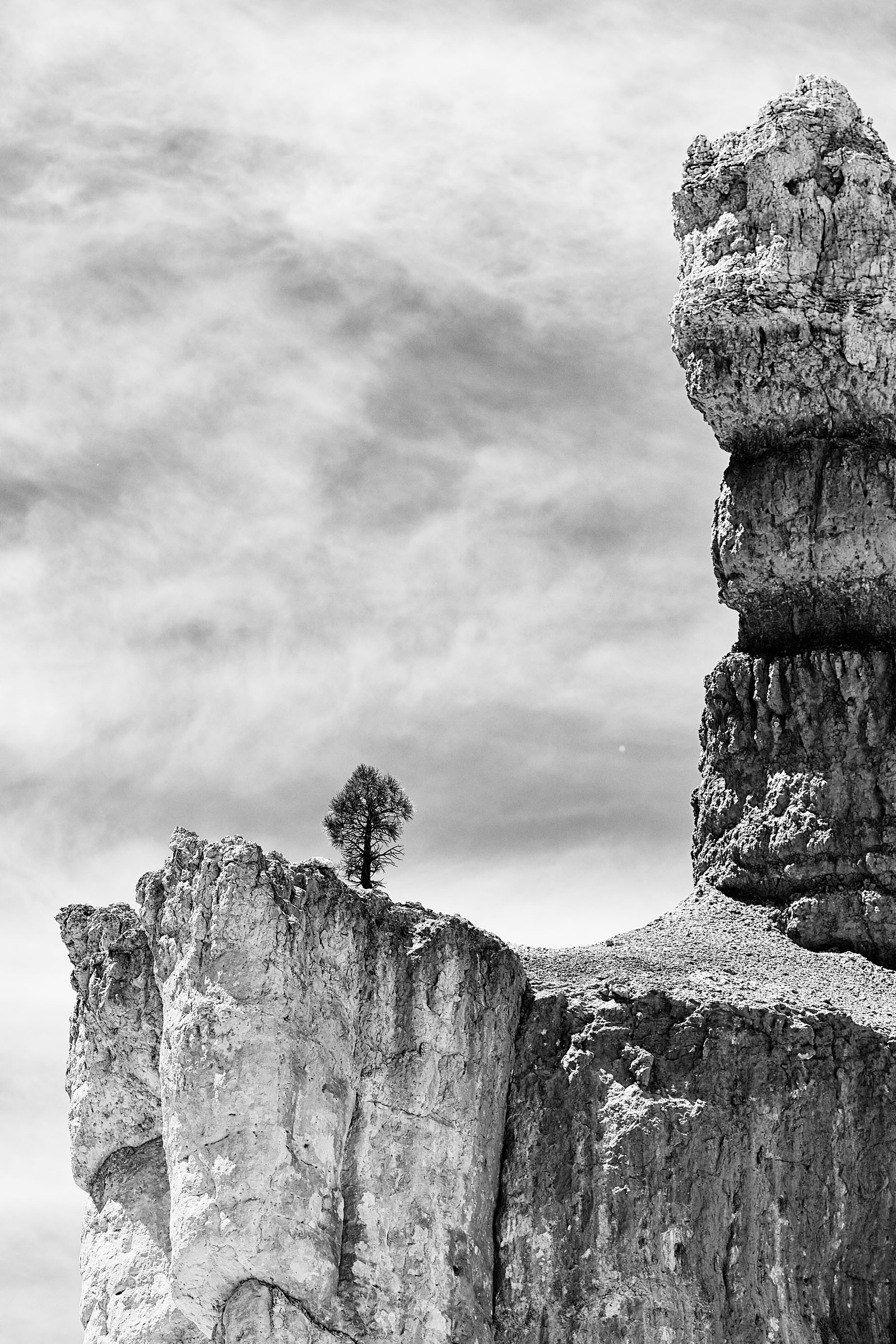 Black-and-white view of a rugged rock formation rising above a cliff with a small tree.