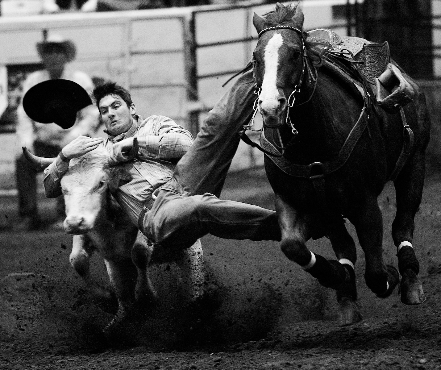 A black-and-white rodeo photograph shows a person falling beside a moving horse.