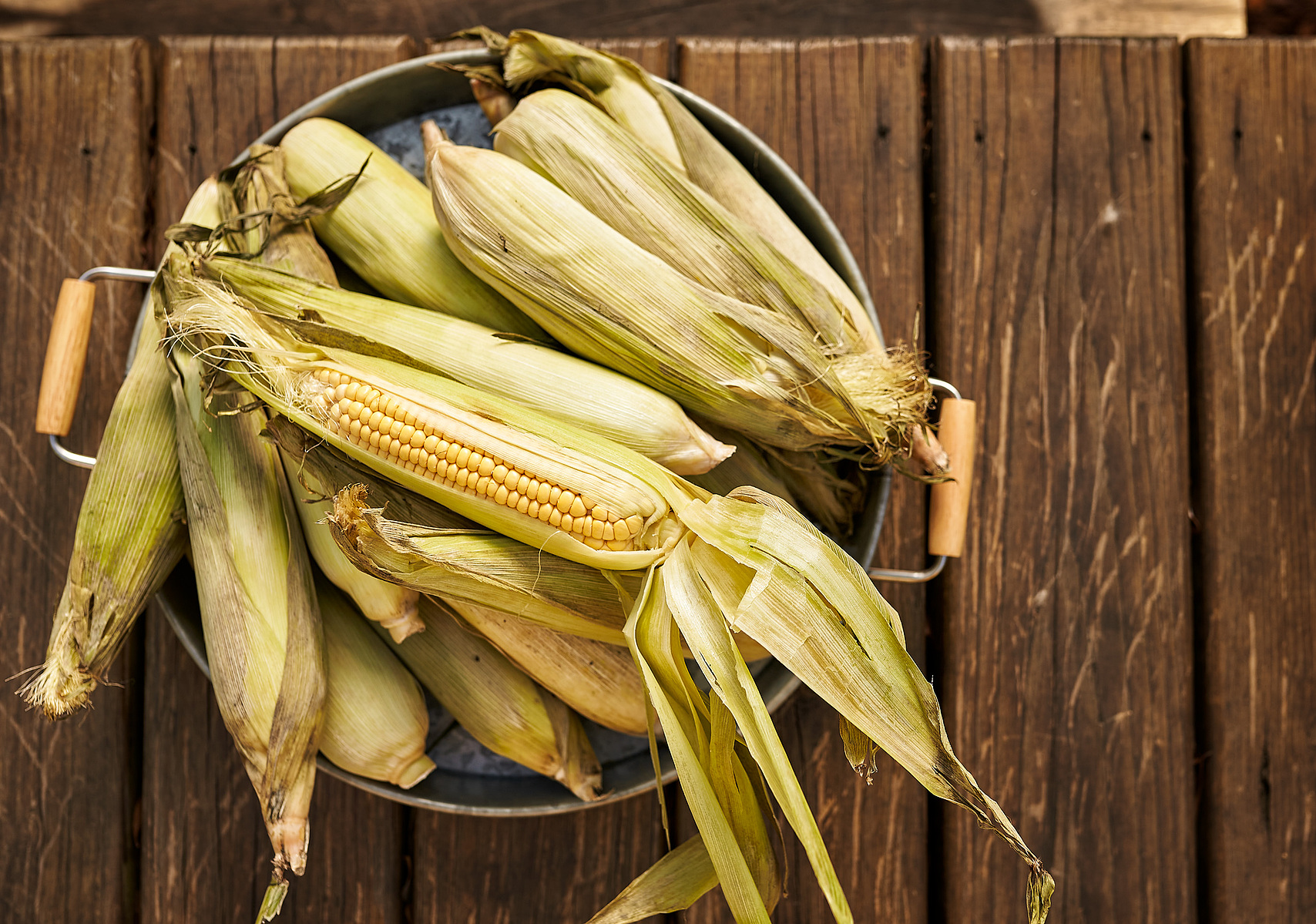 An overhead view of ears of corn with partly opened husks in a metal bowl on wood.